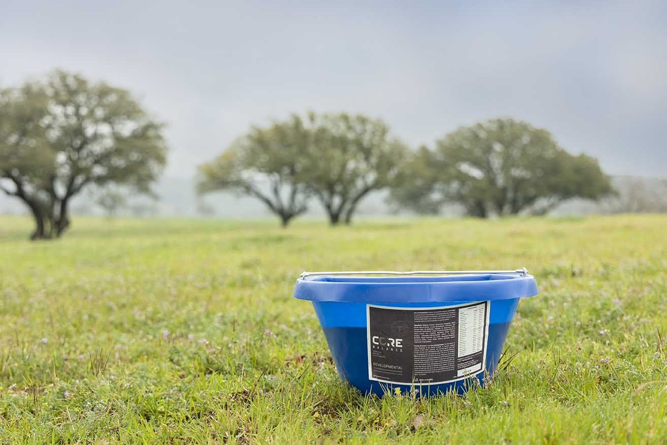 Core Developmental Tubs