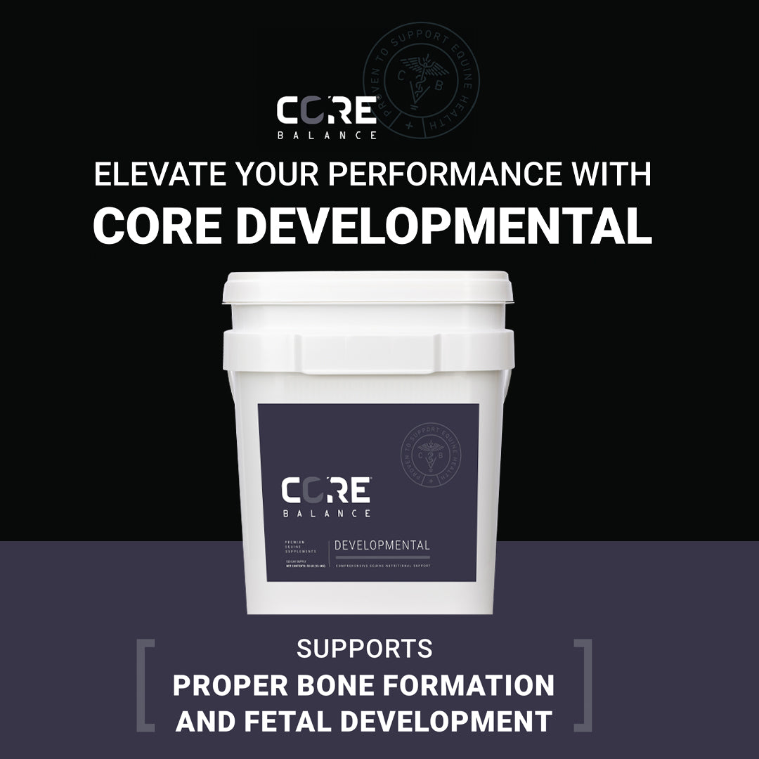 Core Developmental