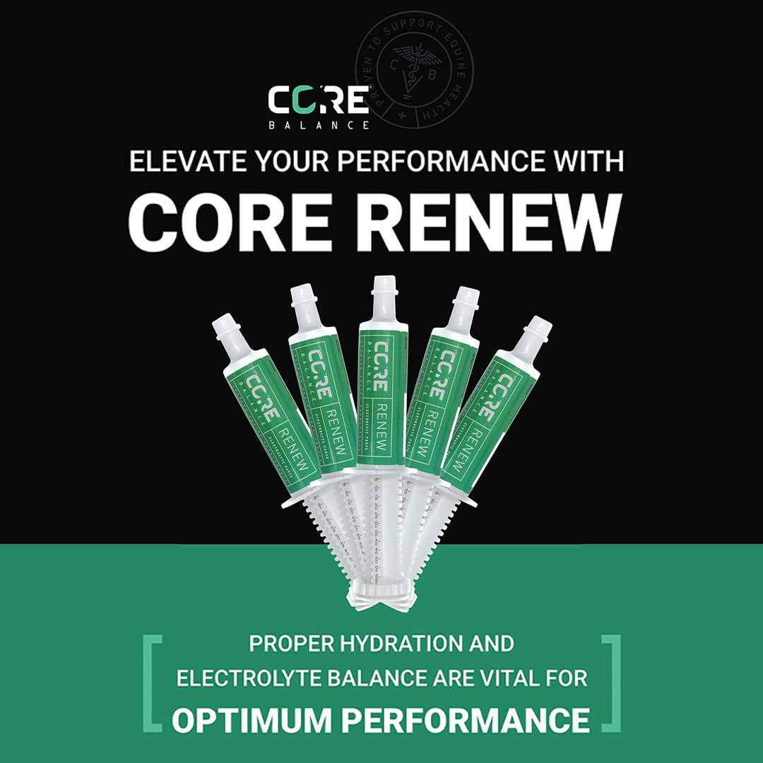 Core Renew