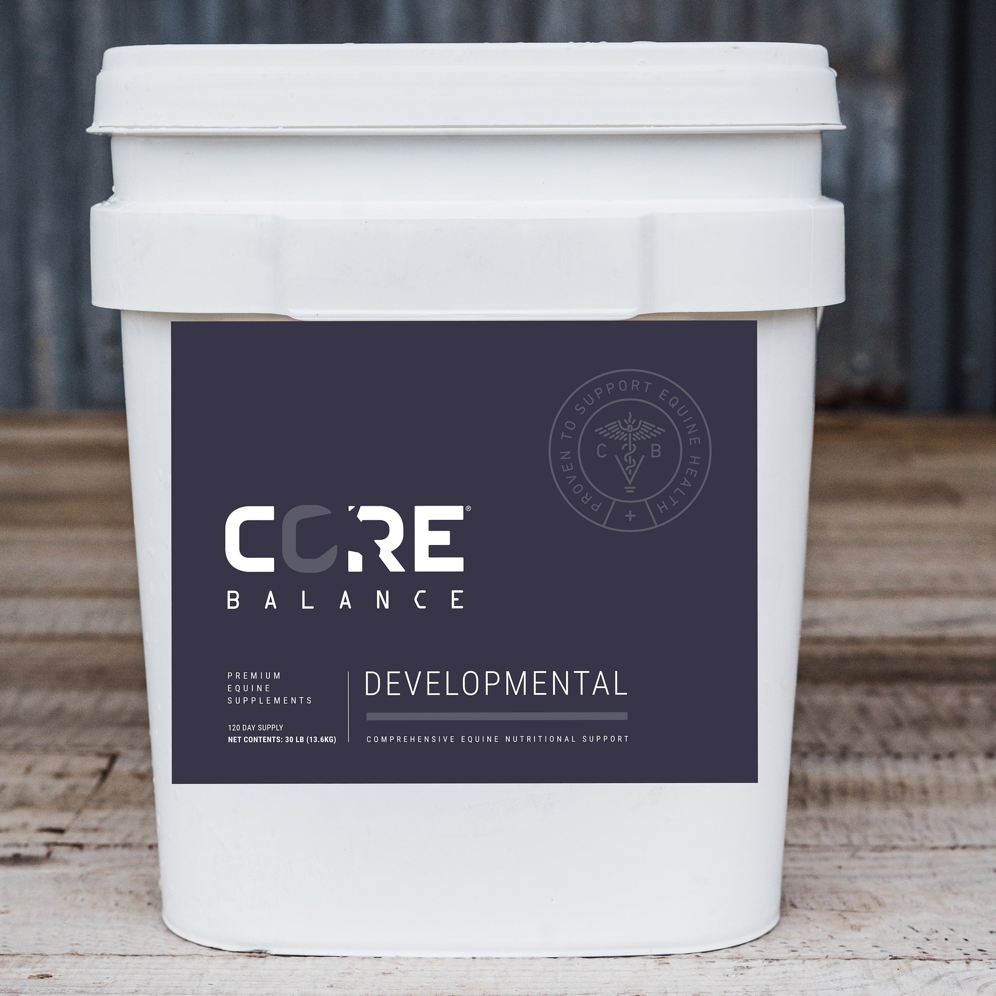 Core Developmental