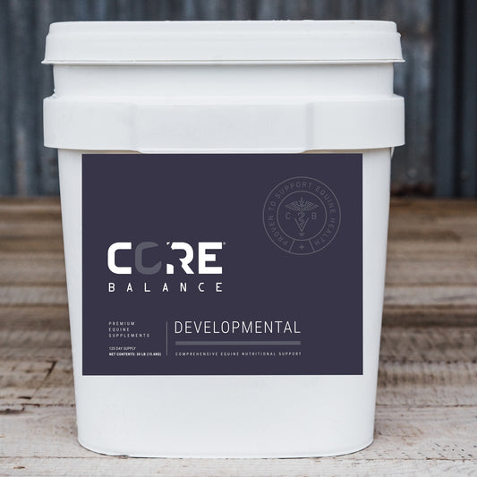 Core Developmental