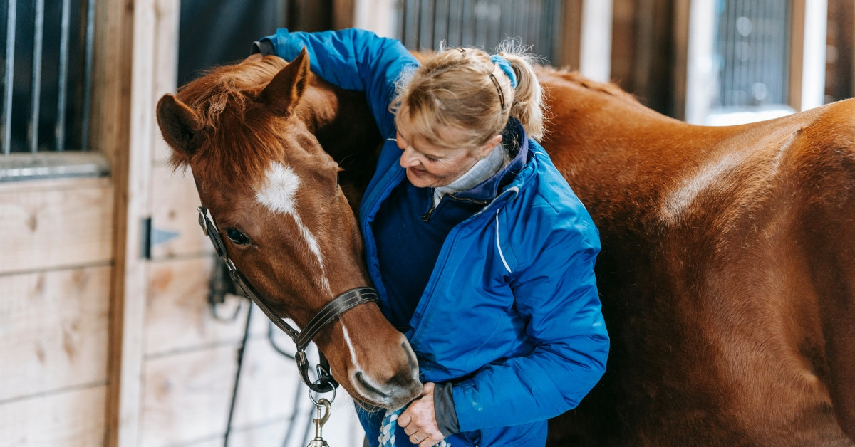 The Link Between Nutrition And Immune Health In Horses