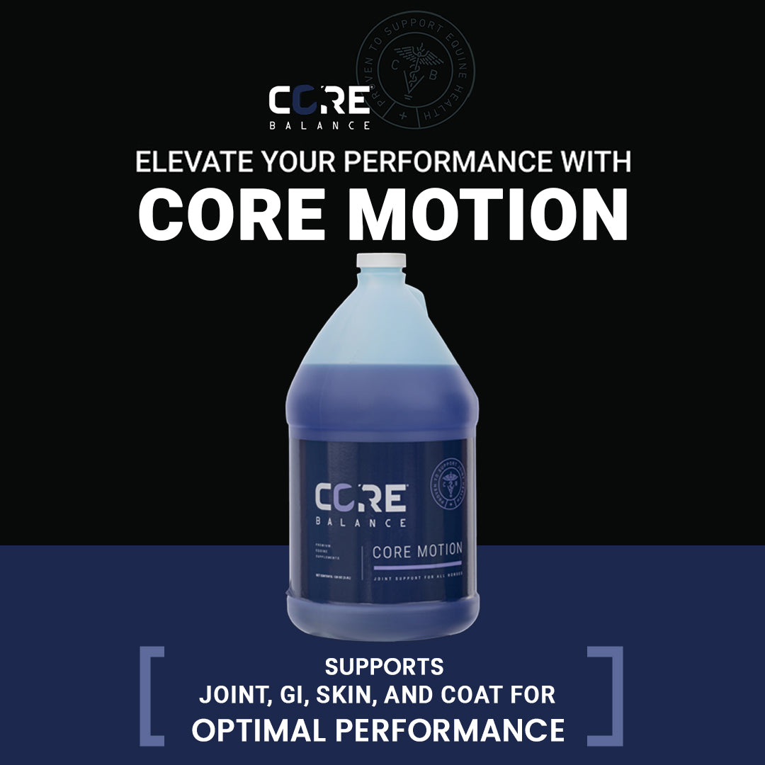 Core Motion