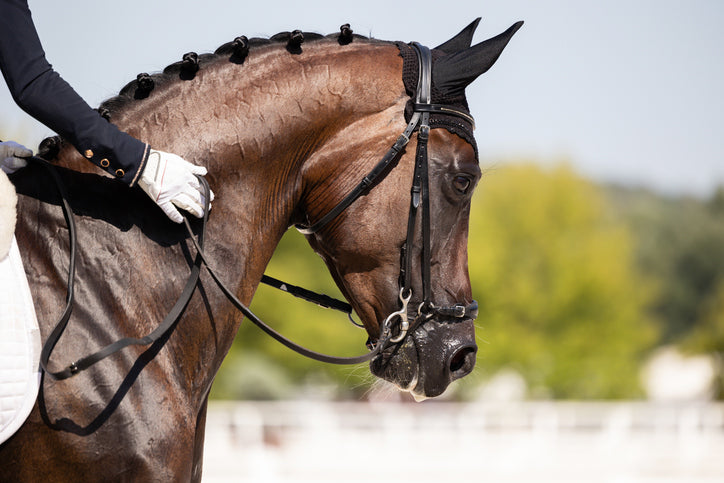 Core_Balance_Equine_Supplement